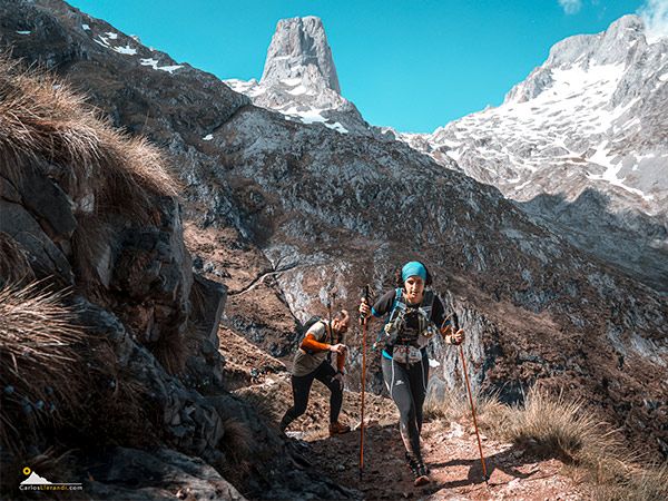 Programa traveserina picos de europa