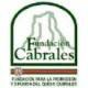 Logotipo fundación Cabrales